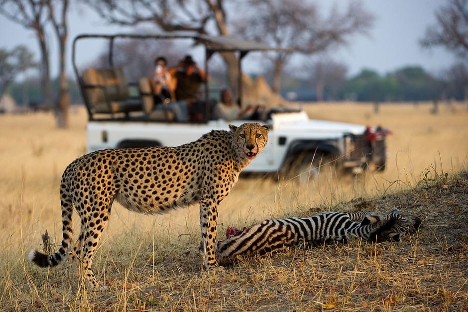4 Nights · 5 Days Victoria Falls and Chobe National Park Safari